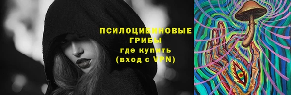 индика Новодвинск