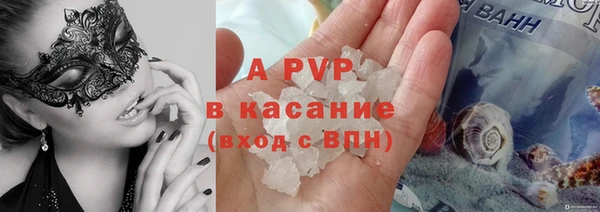 индика Новодвинск