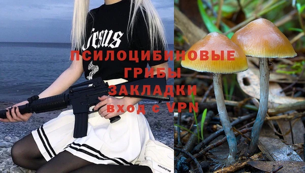 гашиш Няндома