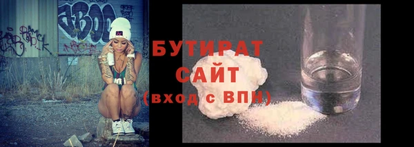 индика Новодвинск