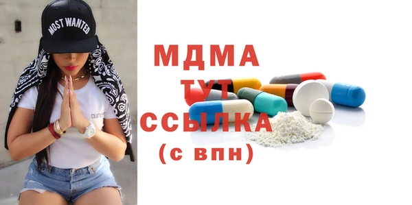 индика Новодвинск