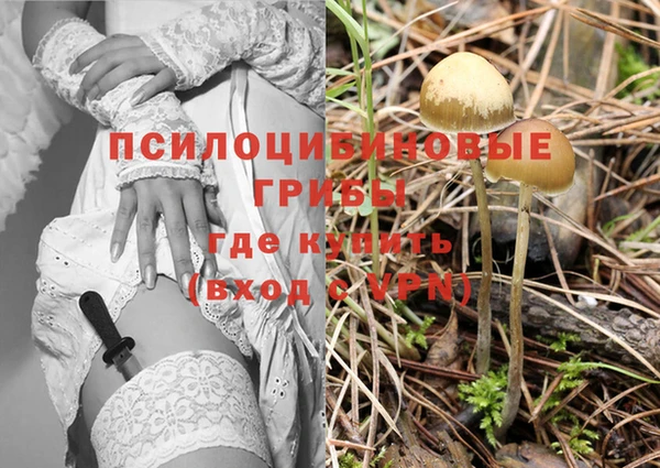 гашик Нягань