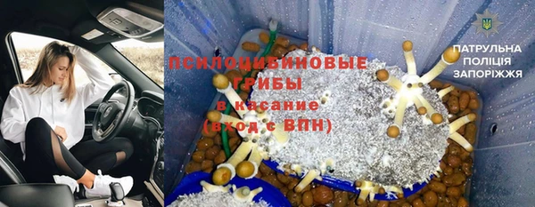 гашик Нягань