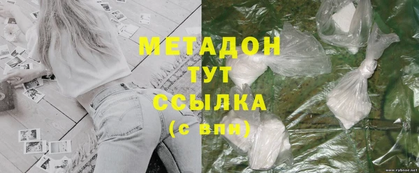 индика Новодвинск