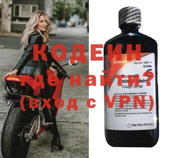 индика Новодвинск