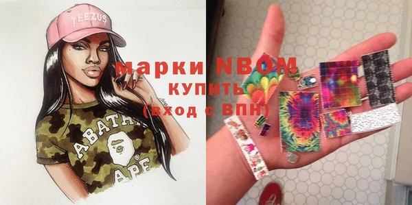 индика Новодвинск