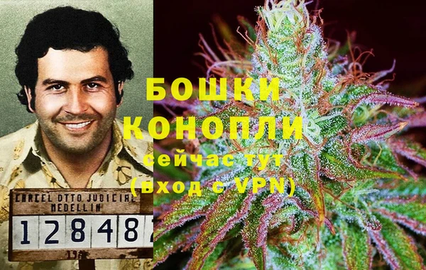 гашик Нягань