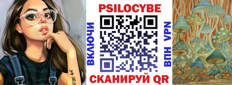 Псилоцибиновые грибы Cubensis  Микунь 